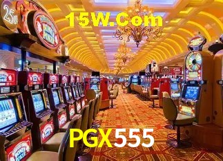 Security Systems PGX555